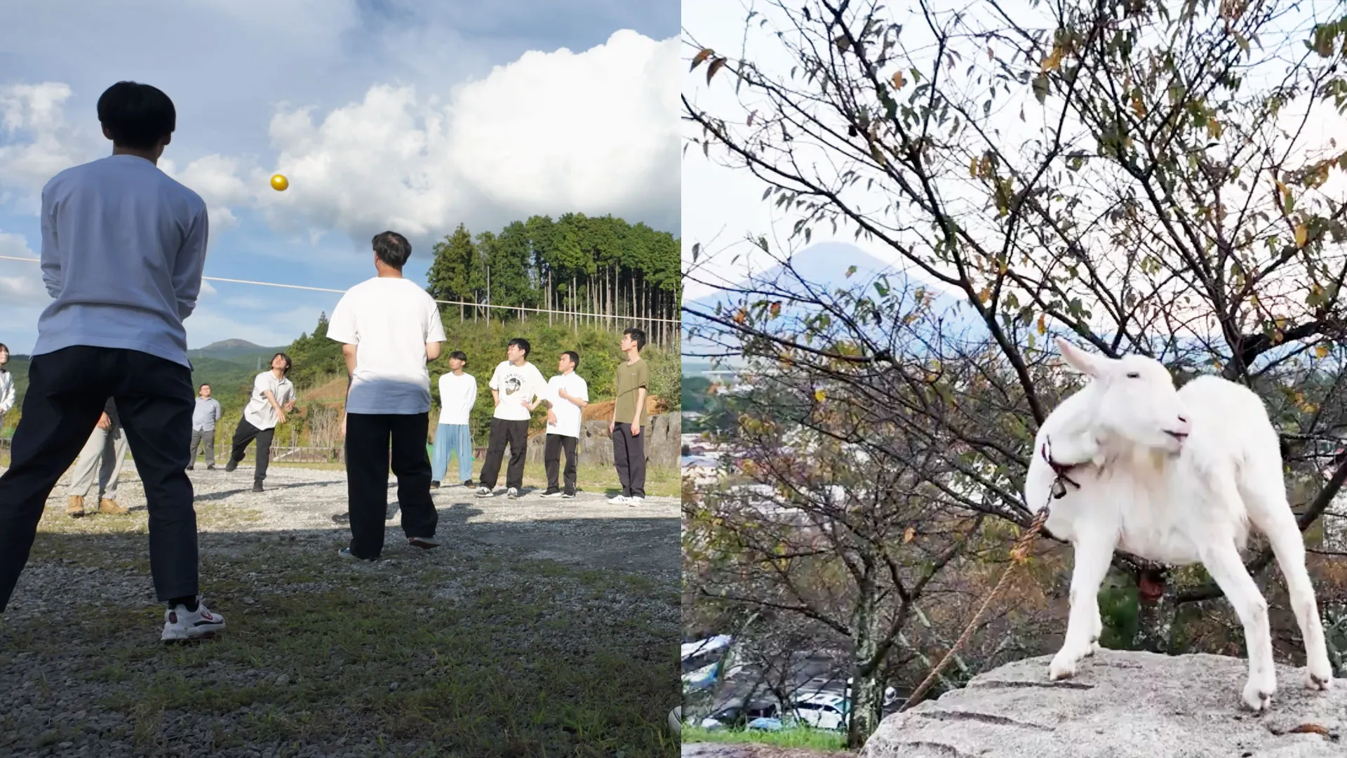 ２日目の屋外ミニゲームの様子とそこで飼育されていたヤギのゆいちゃん